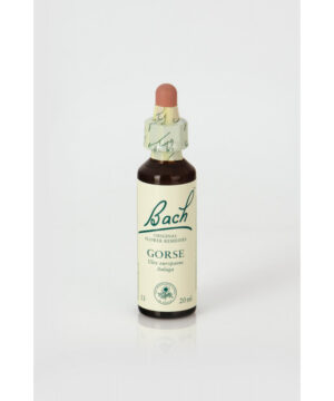 Flor nº 13 gorse 20 ml Bach