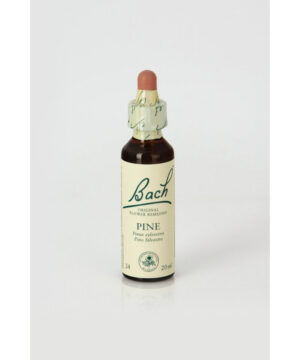 Flor nº 24 Pino silvestre (pine) 20ml Bach