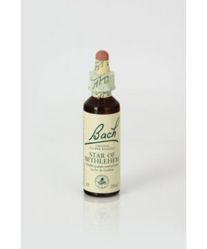 Flor nº 29 star of bethlehem 20 ml Bach