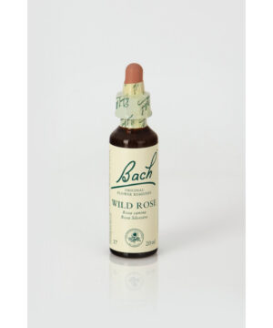 Flor nº 37 Rosa silvestre (wild rose) 20ml Bach
